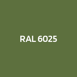 RAL 6025 Fern green